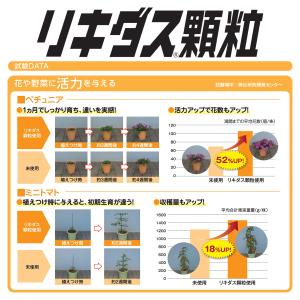 【New Roses 書籍付 先着順なくなり次...の詳細画像4