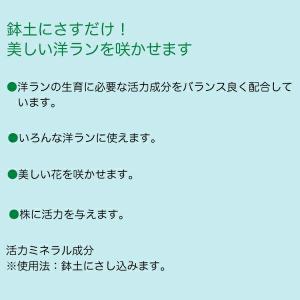 活力剤 洋ランの活力アンプル 30ml×10本...の詳細画像1