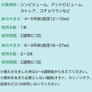 活力剤 洋ランの活力アンプル 30ml×10本...の詳細画像3
