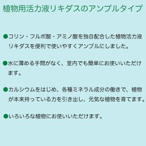 リキダス アンプル 植物用活力液 30ml×1...の詳細画像2
