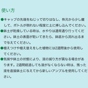 リキダス アンプル 植物用活力液 30ml×1...の詳細画像3