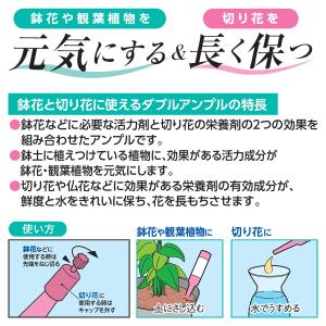 活力液&切り花栄養剤 鉢花と切り花に使えるダブ...の詳細画像1