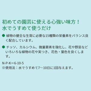 ハイポネックス原液 800ml ハイポネックス...の詳細画像5