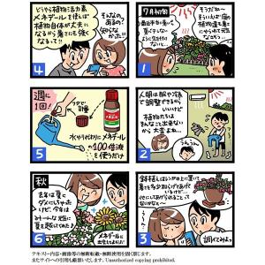 メネデール 2L 植物活力素 活力液 野菜 活...の詳細画像4