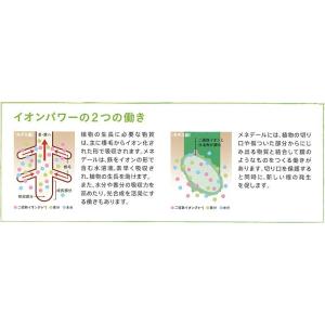 メネデール 5L 植物活力素 活力液 野菜 活...の詳細画像1