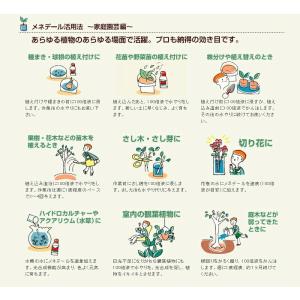 メネデール 5L 植物活力素 活力液 野菜 活...の詳細画像2