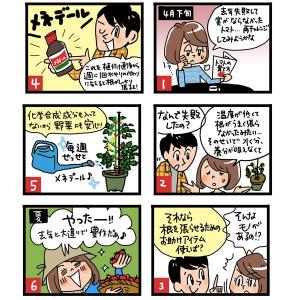 メネデール 5L 植物活力素 活力液 野菜 活...の詳細画像3