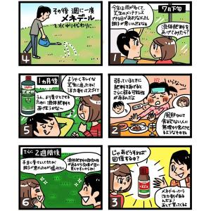 メネデール 5L 植物活力素 活力液 野菜 活...の詳細画像5