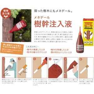 メネデール 樹幹注入液 250ml 植物活力素...の詳細画像1