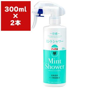 まとめ買い 2本 ミントシャワー スプレー 300ml 北見ハッカ通商 北のかおり｜e-hanas