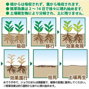 除草剤 グリホエースPRO 5L×4本 ハート...の詳細画像2