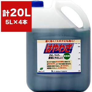 まとめ買い 4本入 はやわざ 5L ハート 原液タイプ 早く効く除草剤 環境にやさしい スギナ除草 雑草対策 根まで枯らす除草剤 雑草駆除 除草剤 送料無料｜e-hanas