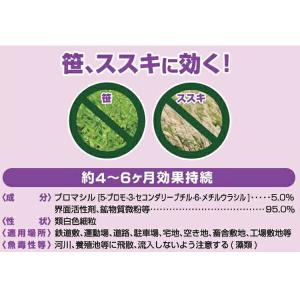 除草剤 ブロマックス5 3kg×6箱 ハート ...の詳細画像2