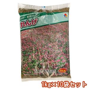 まとめ買い 10袋入 緑肥・景観用 れんげ 1kg タキイ種苗 緑肥種 送料無料 代金引換不可｜e-hanas