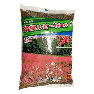 赤花そば 高嶺ルビーNeo 1kg タキイ種苗 緑肥種 緑肥 種 緑肥 種子 景観用作物 景観用緑肥 緑肥種子 切花 そば 種 そば 種子 緑肥の種 景観緑肥 種子