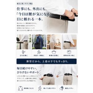 Dr.House ダブルウインチベルト薄型ベル...の詳細画像5