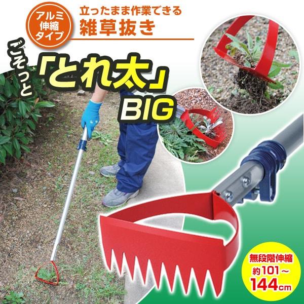 雑草抜きごそっと「とれ太」