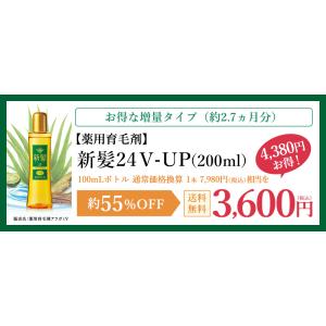 薬用育毛剤 新髪24V-UP 200mL 育毛...の詳細画像1
