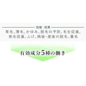薬用育毛剤 新髪24V-UP 200mL 育毛...の詳細画像3