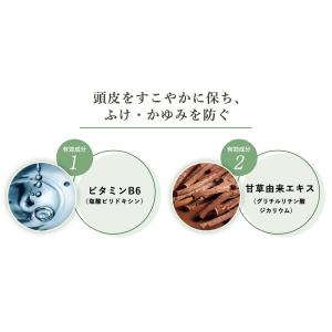 薬用育毛剤 新髪24V-UP 200mL 育毛...の詳細画像4