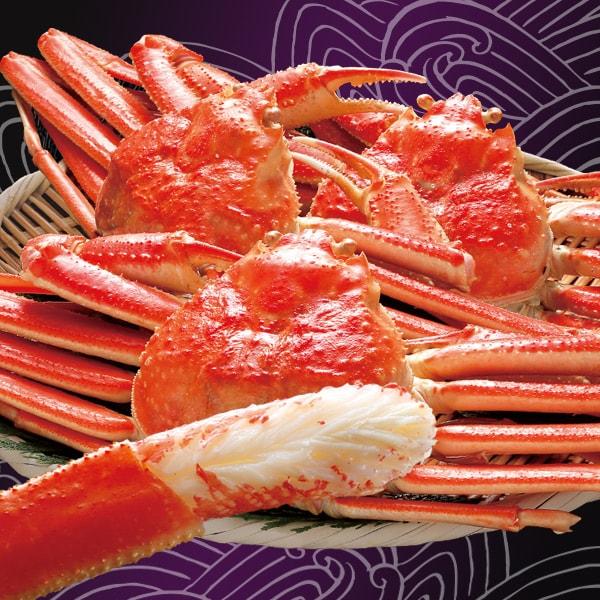 ボイルずわい姿3尾 合計約1.5kg【タイムセール】　1月5日（月）16時50分まで