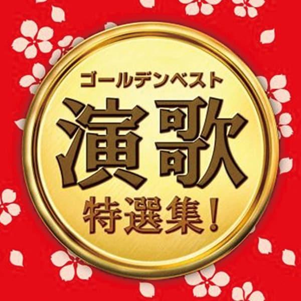 ゴールデンベスト 演歌特選集！ CD2枚組