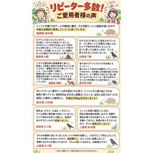天然ヒトデ忌避剤 ヒトデMAX 2kg袋 小分...の詳細画像5