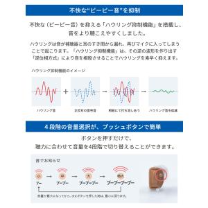 オンキヨー 補聴器 ONKYO OHS-D21...の詳細画像5