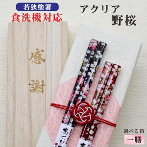 桜花 箸 名入れ 1膳 箱入 桐箱 刻印 メッセージ 若狭塗箸 すべり止め