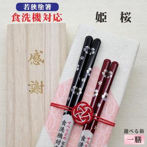 最高級伝統工芸 若狭塗箸 本うるし 松葉起し 箸 夫婦 桐箱 伝統工芸