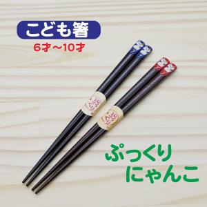 公式 虹色の六角箸 六角知能箸 名入れ 木製 日本製 小学生 中学生