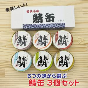 6つの味から選ぶ！鯖缶 2個ギフトセット 箱入り 鯖街道 さば缶 鯖缶