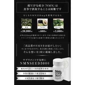 NMN マカ 乳酸菌 亜鉛 コエンザイム アル...の詳細画像3