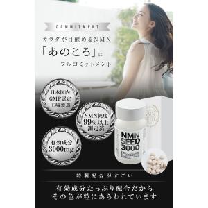 NMN マカ 乳酸菌 亜鉛 コエンザイム アル...の詳細画像4