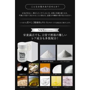 NMN マカ 乳酸菌 亜鉛 コエンザイム アル...の詳細画像1