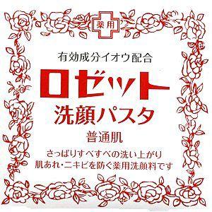 ロゼット 洗顔パスタ 普通肌 90g 有効成分イオウ配合 赤 Eハイソー 健康生活サポートshop 通販 Yahoo ショッピング