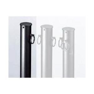 三協アルミ ビポールBP N-48T-EXN φ48mm 端部柱用 取り外し式 チェーン