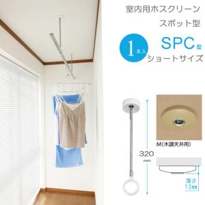 物干し 屋外 軒下天井吊り下げタイプ 物干金物 物干し掛け 川口技研 軒