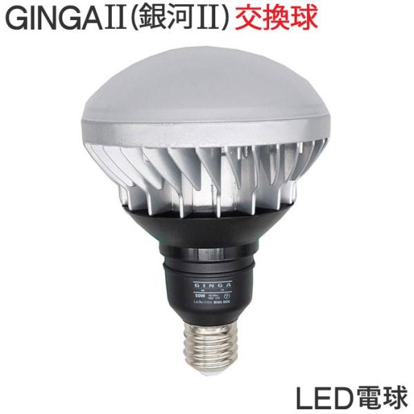 投光器 電球 交換 led 100v GINGA2 50W 屋外用 超高輝度 口金E39 ワークライ...