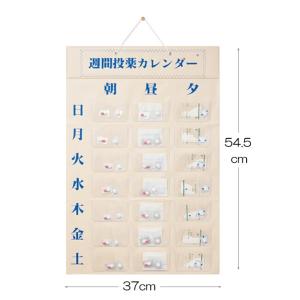 週間投薬カレンダー1日3回用 東武商品サービス 薬 ストック ケース 整理 区分け 補助 介助 携帯 便利 高齢者 敬老の日 贈り物 プレゼント｜e-housemania