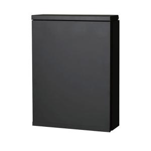 ポスト 郵便受け 壁掛け郵便ポスト デザインポスト ジョイ ブラック (T