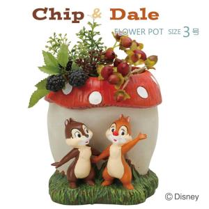 家と庭のdiy通販 イーハウスマニア ディズニーシリーズ 特集 Yahoo ショッピング