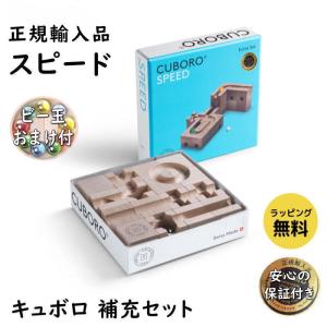 フレーベル積木（小）デュシマ社（ドイツ） Dusyma 木のおもちゃ 積木