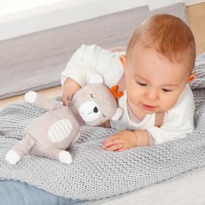 オーガニックドール・テディー FE52084 布製 ベビー 赤ちゃん 布のおもちゃ 玩具 知育 出産祝 誕生日 プレゼント｜e-interia