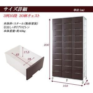 代引不可 プラスチック 引き出し 引き出し 衣類収納 収納ケース 3列 10段 チェスト チェスト 収納ケース 大量収納 Nasanj 0386 0398 いーいんてりあ 衣装ケース プラスチック