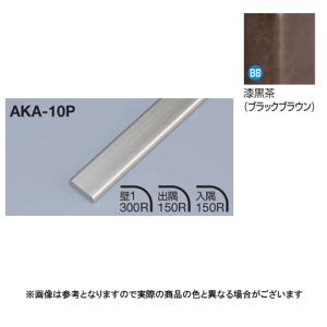 メタカラー建材 見切材フラットタイプ AKA-10P L3000 ニッケル