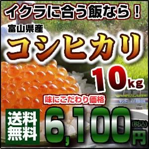 富山県産こしひかり コシヒカリ 10キロ おいしいお米