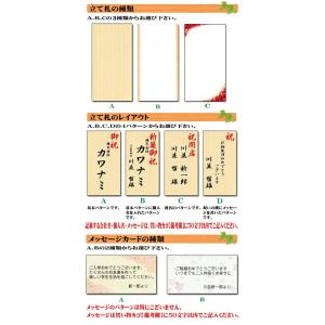 【現品】送料無料 柱サボテン ブランチ 7号 ...の詳細画像5