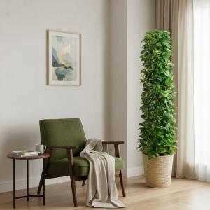 観葉植物 タワーポトス10号 立て札、メッセー...の詳細画像1