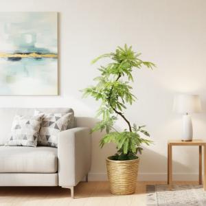 送料無料 観葉植物 エバーフレッシュ8号 立て...の詳細画像1